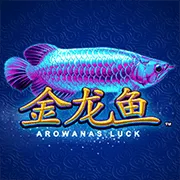 Cá Rồng Vàng
